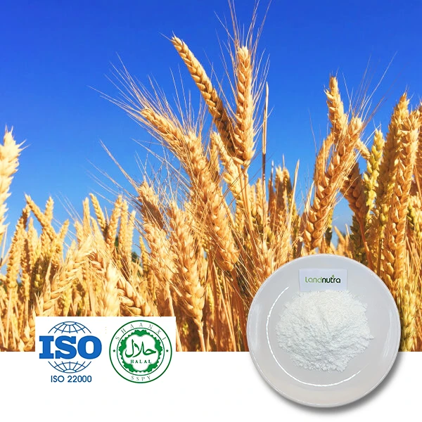Spermidine Powder Spermidine Powder